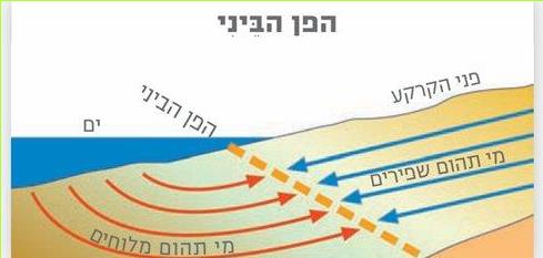הפן הביני